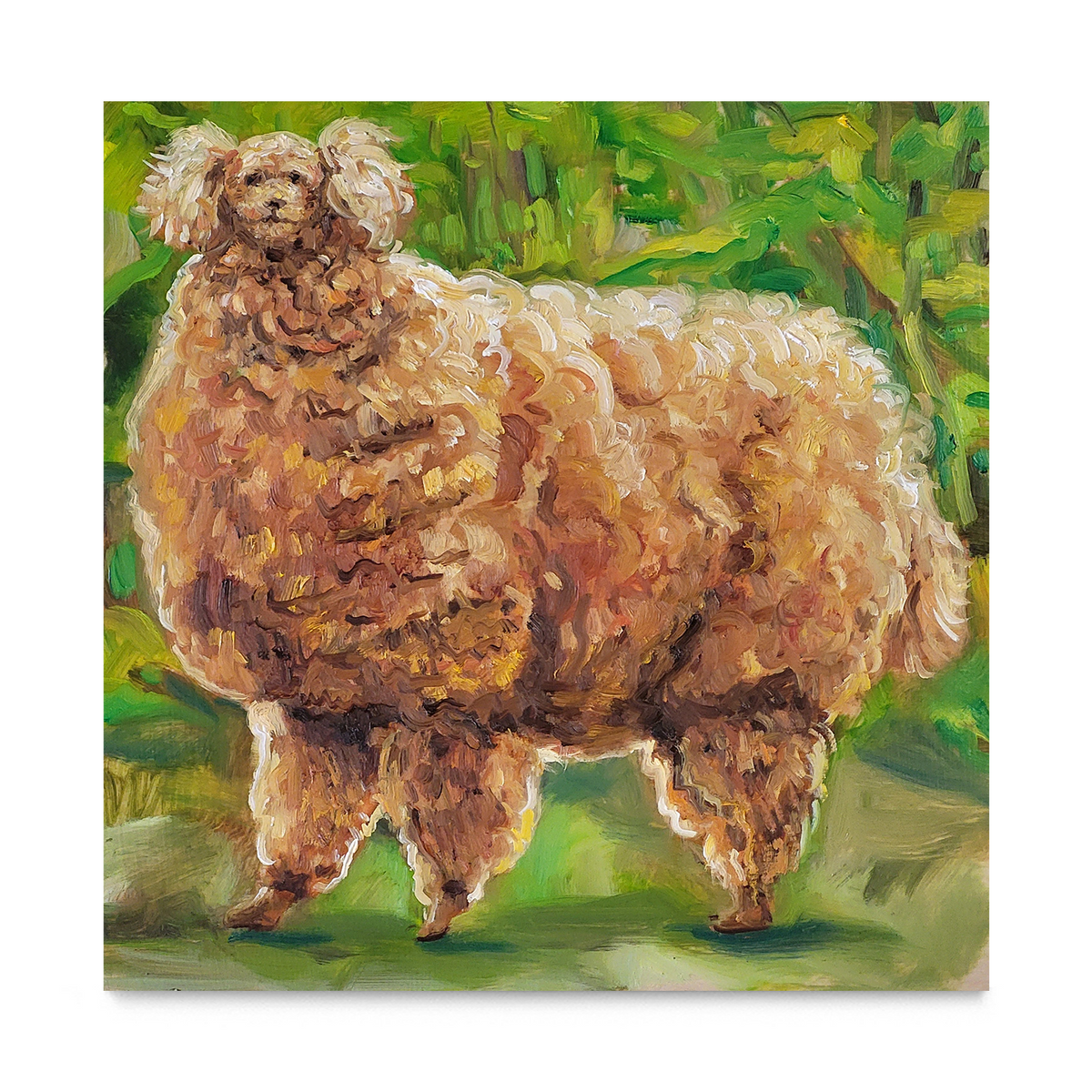 Untitled (dog)