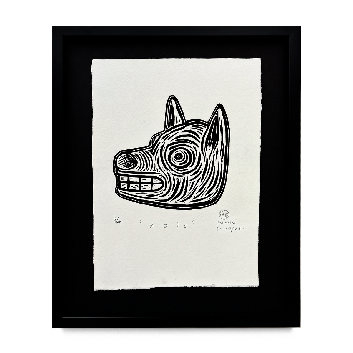 Xolo
